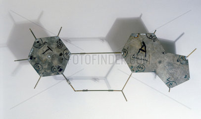 Templates from Crick and Watson’s DNA molecular model  1953.