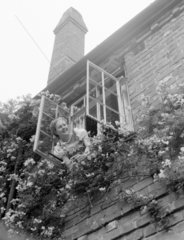 Woman leaning out of a cottage window  1950.