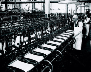 Man working a knitting machine  18 April 1931.