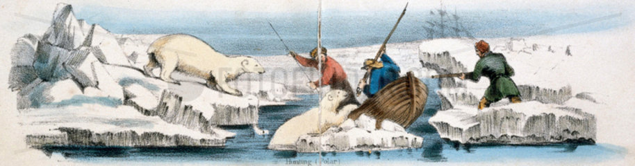 'Hunting (Polar)'  c 1845.