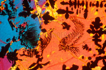 Neolithic slag  light micrograph  1990s.