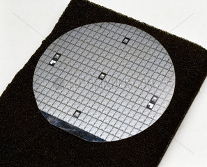 Silicon wafer used in the production of Intel 8080 microprocessor chips  1970s.