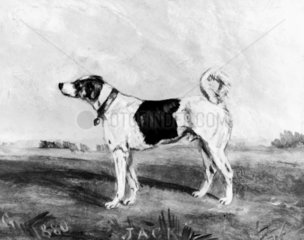 'London Jack'  Railway collecting dog  c 18