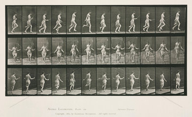 Time-lapse photographs of a woman skipping  1872-1885.