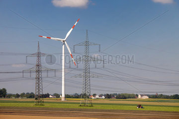 Dueren  Deutschland  Windrad und Strommasten auf einem Feld