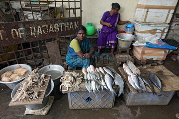 Cuddalore  Indien  Frauen verkaufen fangfrischen Fisch auf dem Fischmarkt