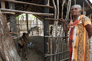 Puliyampathai  Sri Lanka  eine aeltere Frau vor einem Stall mit Kleinvieh