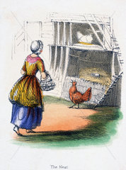 'The Nest'  c 1845.