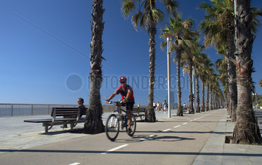 Barcelona  Spanien  die Strandpromenade von Barceloneta mit Palmenreihen