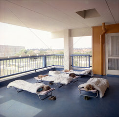 Berlin  DDR  Kinder halten auf dem Balkon einer Kindertagesstaette Mittagschlaf