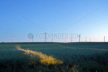 Bruessow  Deutschland  Windkraftanlagen in der Uckermark am Abend