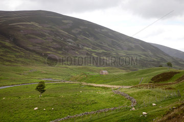 Glenshee  Grossbritannien  Landschaft in Aberdeenshire in den schottischen Highlands