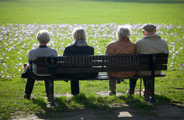 Duesseldorf  Deutschland  Senioren auf einer Parkbank und betrachten bluehende Kroskusse im Rheinpark