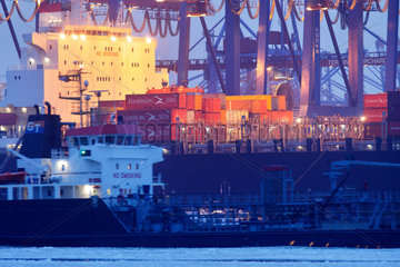 Hamburg  Deutschland  Containerschiff am Burchardkai im Hamburger Hafen
