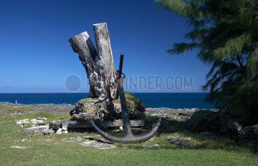 Connell Town  Barbados  ein Anker an einem Baumstumpf erinnert an gesunkene Schiffe