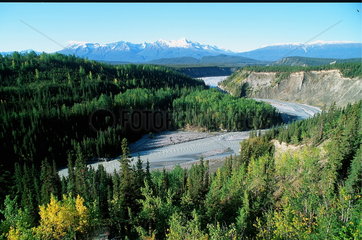 Chitina  USA  Flussbett des Copper River