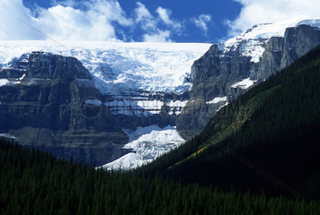 Jasper  Kanada  der Stutfield-Gletscher