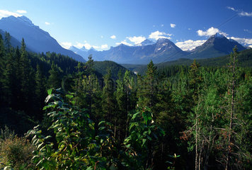 Jasper  Kanada  Landschaft im Jasper-Nationalpark