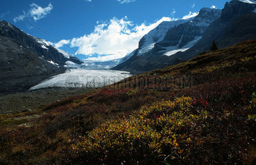 Jasper  Kanada  der Athabasca-Gletscher