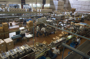Puerto Plata  Dominikanische Republik  in der Rumfabrik von Brugal
