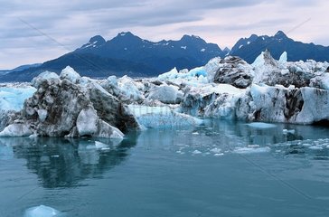 Valdez  USA  Eisschollen des Columbia-Gletscher in der Prinz-William-Sund