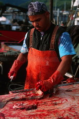 Valdez  USA  ein Fischer zerlegt frisch gefangenen Fisch im Hafen