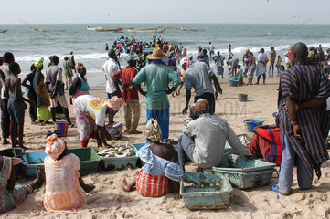 Bakau  Gambia  Fischereihafen von Bakau  Einheimische warten auf die Fischerboote