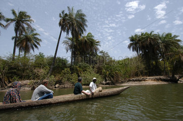 Abuko  Gambia  Bootstour mit einem Piroge auf dem Fluss Gambia