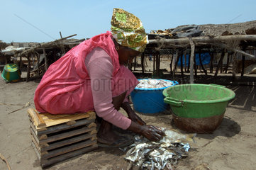 Gunjur  Gambia  Einheimische bereitet Fisch fuer den Verkauf vor