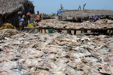 Gunjur  Gambia  Fischmarkt am Strand