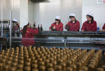 Beijing  Weinproduktion Dragon Seal