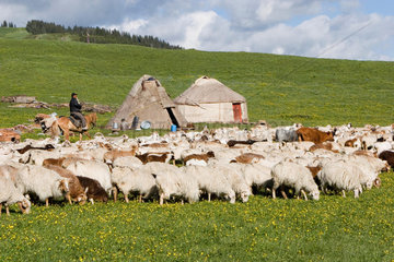 Mongolische Jurte am Ufer des Sayrim Sees