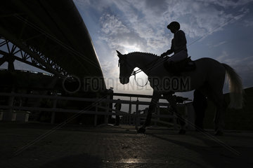 Doha  Silhouette von Pferd und Springreiter beim Einritt in die Reitbahn