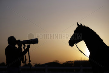 Doha  Silhouette  Pferd wird fotografiert