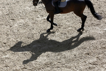 Doha  Pferd und Reiter werfen einen Schatten auf den Boden