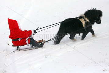 Oberoderwitz  Weihnachtsmann macht mit seinem Shetlandpony eine Schlittenfahrt