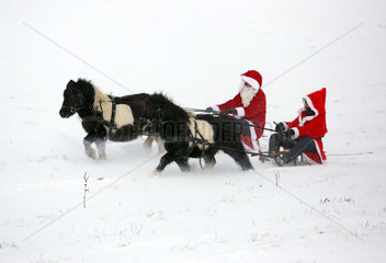 Oberoderwitz  als Weihnachtsmaenner verkleidete Frauen machen mit ihren Shetlandponies eine Schlittenfahrt