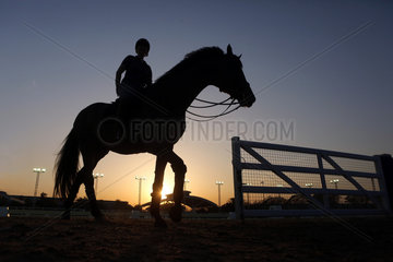 Doha  Silhouette  Pferd und Reiter verlassen nach dem Training die Reitbahn