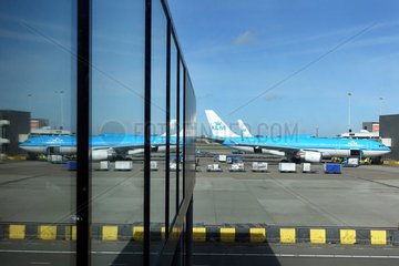 Amsterdam  Niederlande  Airbus A330 der KLM auf dem Vorfeld des Flughafen Schiphol