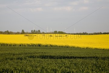 Windenergieanlagen in Mecklenburg-Vorpommern