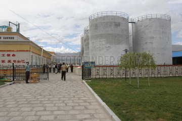 Tibet  Rapsoelfabrik