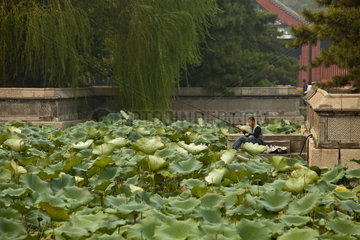 Beijing  Sommerpalast