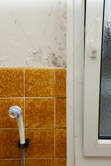 Schimmel und abgeblaetterter Verputz in einem Altbau-Bad mit neuen Fenstern.