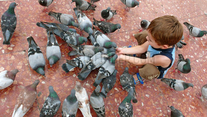 Kind mit Tauben
