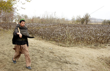 Jugendlicher Bauer vor einem Baumwollenfeld