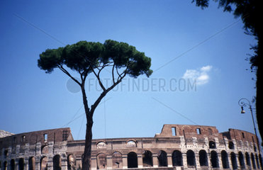 Rom: Colosseum  antike Sportarena