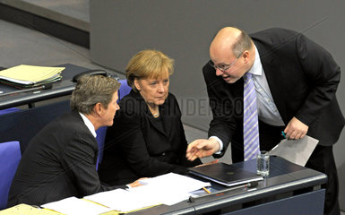 Westerwelle + Merkel + Altmaier