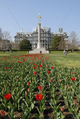 First Division Memorial Washington D.C. mit Tulpenbeet