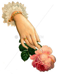 Frauenhand mit Rose  um 1925