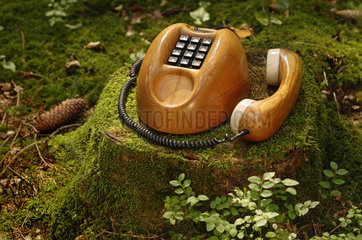 Telefon im Wald  Humor
